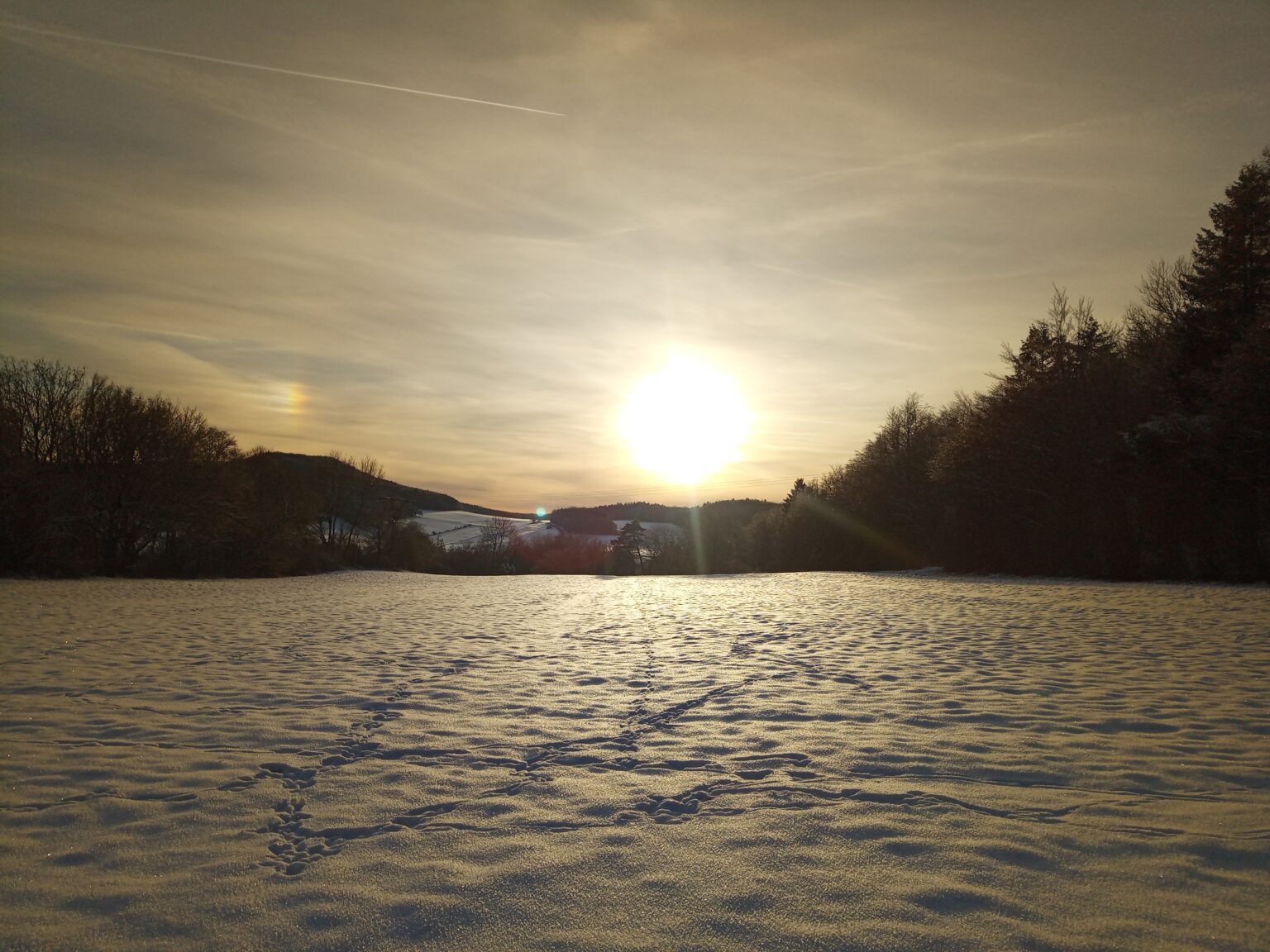 Winterwiese